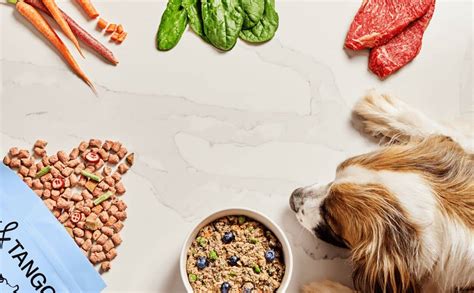 How Much Is Spot and Tango Dog Food: A Deep Dive into Pet Nutrition and Beyond