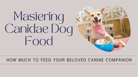 Is Canidae Dog Food a Good Choice for Your Canine Companion? And Why Do Some Dogs Prefer Socks Over Steak?