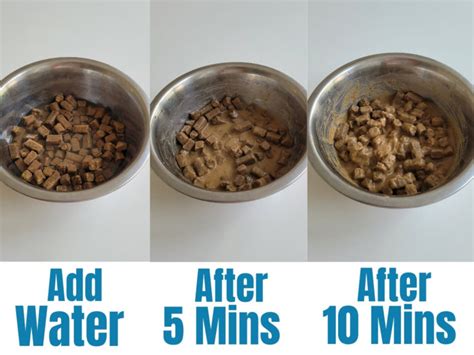 Is it good to put water in dog food, and does it make the kibble float like tiny lifeboats in a sea of nutrition?